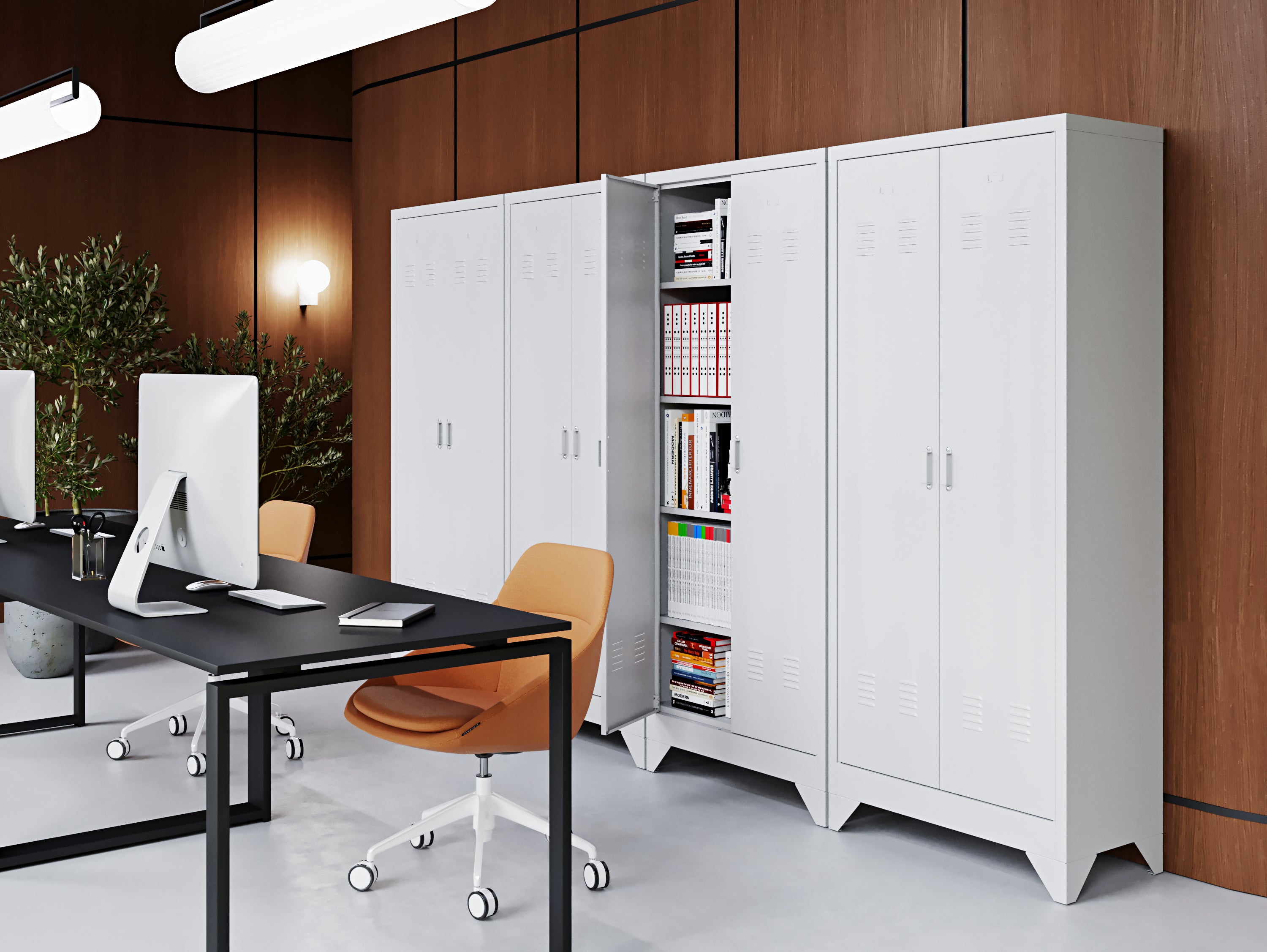 Schrank Nr. 2011