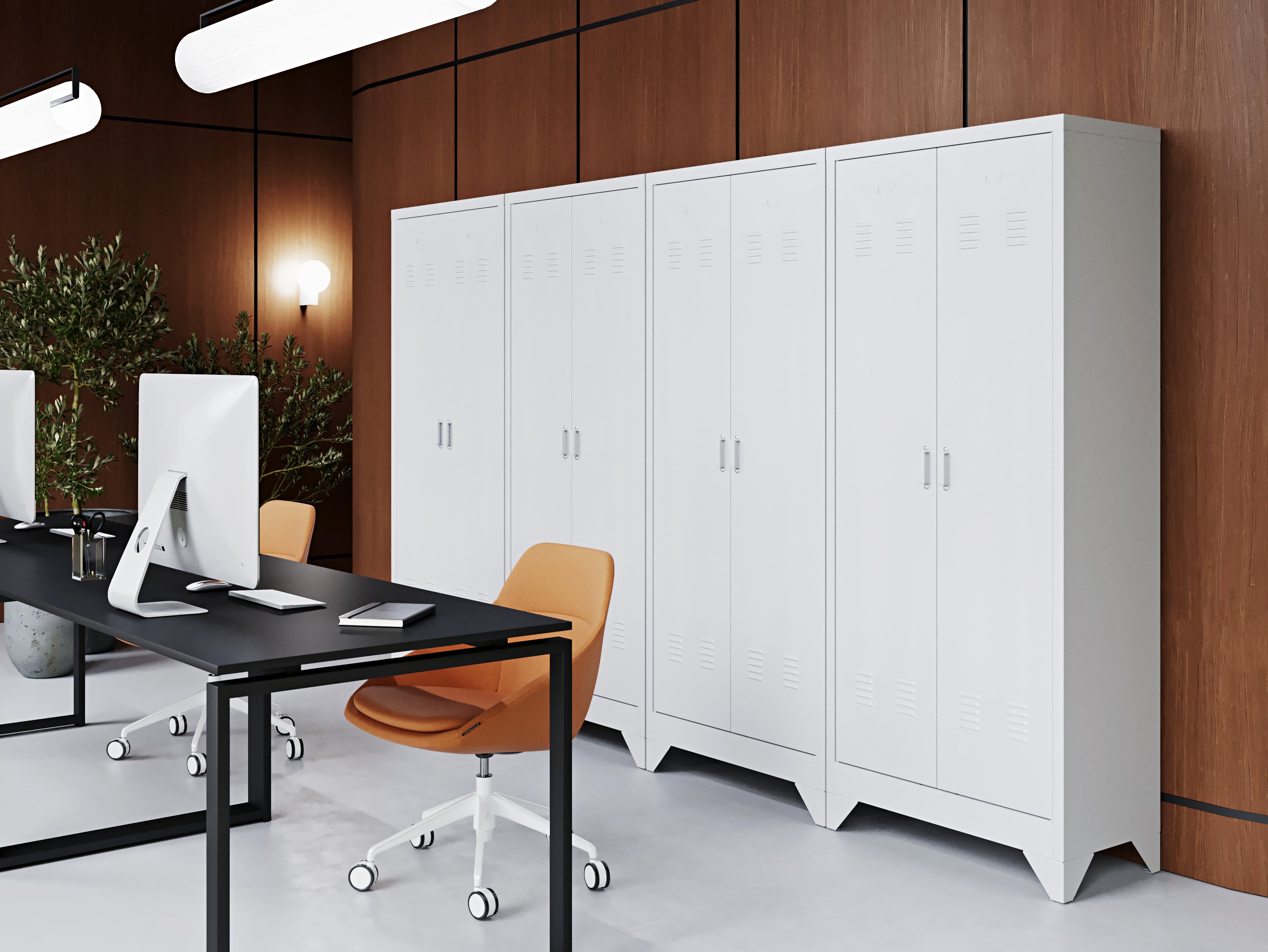 Schrank Nr. 2011
